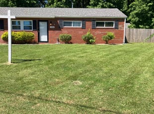 Eddie A.'s turf maintenance service result