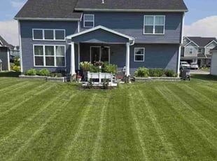 Wendy E.'s grass maintenance service result