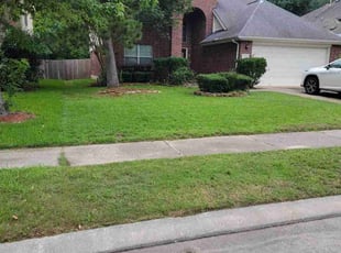 Angela D.'s turf care service result