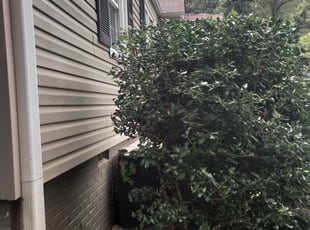 Jamie R.'s Bush Trimming service result