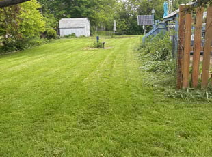 Elizabeth V.'s lawn care services service result