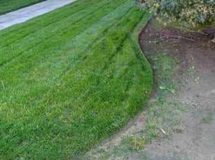 Cassandra H.'s lawn maintenance service result