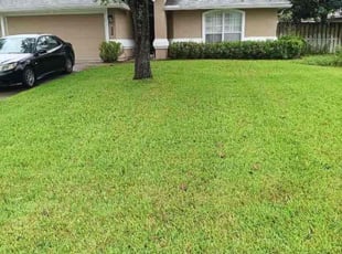 James H.'s yard care service result