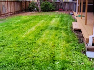 Kairee T.'s turf care service result