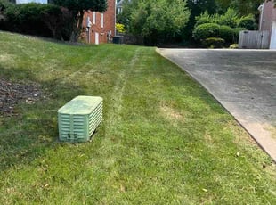 Bob D.'s grass maintenance service result