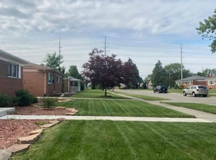 Allister D.'s lawn care service result