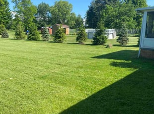 Elias Z.'s Long Grass Cleanup service result