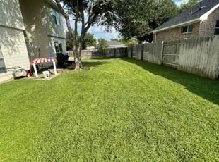Amy M.'s grass cutting service result