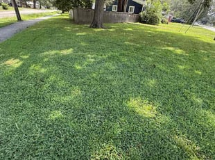 John P.'s turf maintenance service result