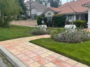 Jason T.'s grass maintenance service result