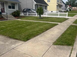 A M.'s grass maintenance service result