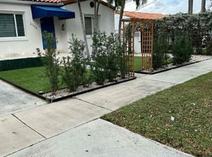 Iliana T.'s turf care service result