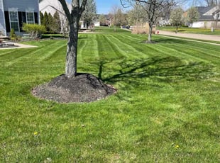 Dennis V.'s lawn service service result
