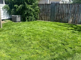 Debbie s.'s lawn care services service result