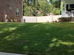 Erica B.'s lawn care service result