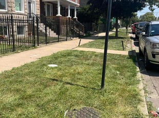 Tom R.'s grass cutting service result