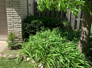 Crystal A.'s Bush Trimming service result