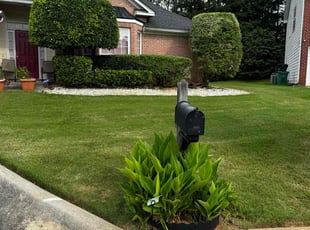 Cindy S.'s lawn care service result