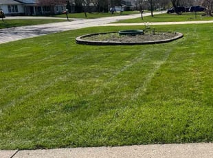 Carolyn A.'s turf maintenance service result