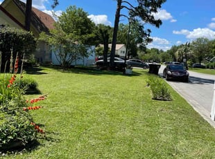 Michelle M.'s lawn service service result