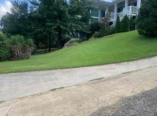 Linda T.'s lawn maintenance service result