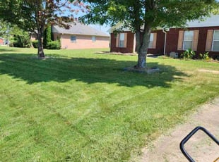 Tull B.'s grass cutting service result