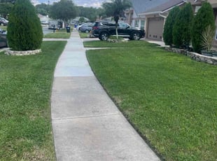 Judy N.'s grass maintenance service result