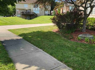 Hussein E.'s turf maintenance service result