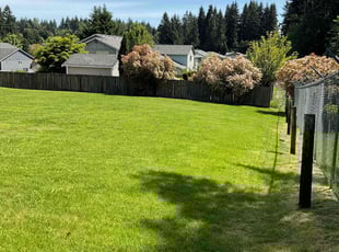 Erynn N.'s lawn care services service result