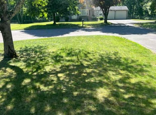 Nolan C. H.'s turf maintenance service result