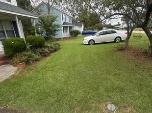 Edward L.'s grass cutting service result