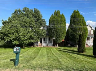 Jessica W.'s grass maintenance service result