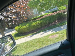 Carlethea H.'s lawn maintenance service result