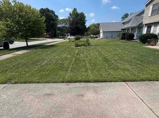Stacye R.'s turf maintenance service result
