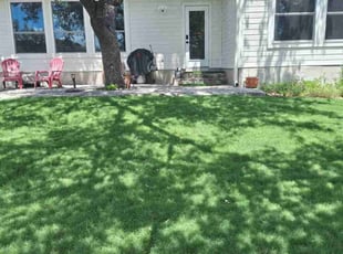 Dominic G.'s lawn maintenance service result
