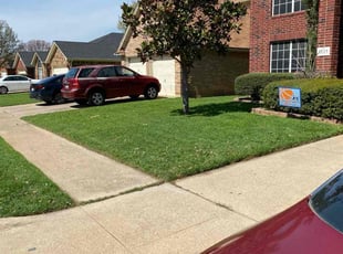Joseph Z.'s lawn service service result