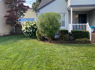 R. B.'s Bush Trimming service result
