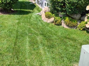 Charles T.'s lawn maintenance service result