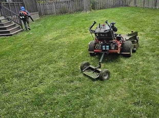 Michael G.'s grass cutting service result