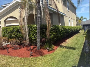 Kristin M.'s Mulching service result