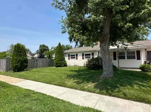 Ammie S.'s grass cutting service result