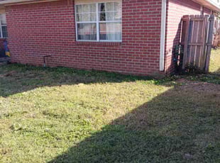 Carole B.'s grass maintenance service result