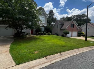 Jennilee H.'s lawn maintenance service result