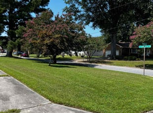 Connie E.'s lawn maintenance service result