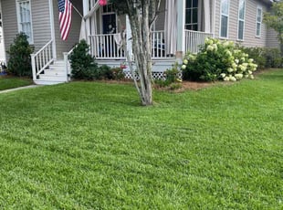 Enderlin D.'s lawn maintenance service result