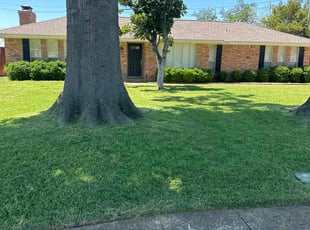 Tom J.'s turf care service result