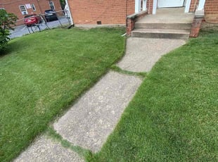 James I.'s lawn care services service result