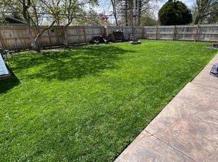 Karri L.'s lawn care service result