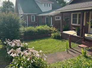 Alyssa C.'s turf care service result