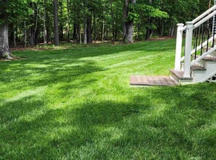 Nomena B.'s grass cutting service result